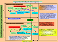 Thumbnail for version as of 03:15, 24 April 2026