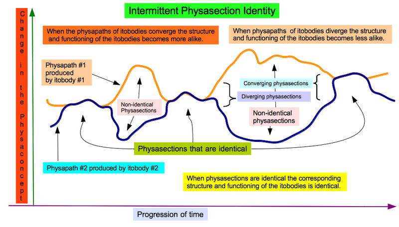 File:Intermittent Physasection Identity.png