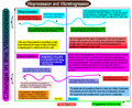 Thumbnail for version as of 12:35, 16 April 2011