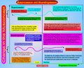 Thumbnail for version as of 12:40, 16 April 2011