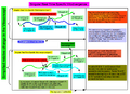 Thumbnail for version as of 03:15, 24 April 2026