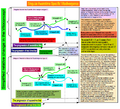 Thumbnail for version as of 07:01, 31 March 2011