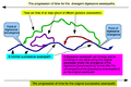 Thumbnail for version as of 20:04, 20 January 2012