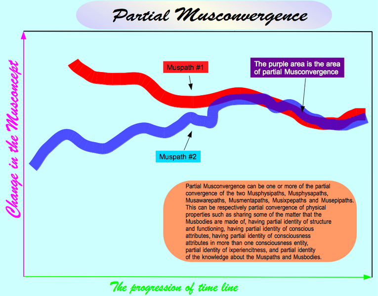 File:Partial Musconvergence.png